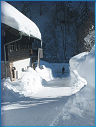 Winterwanderung Seehaus022