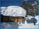 Winterwanderung Seehaus023