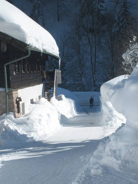 Winterwanderung Seehaus022